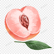 WWW,av599·COM网站APPAPP应用
