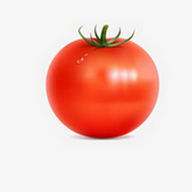 看黄直播最新版